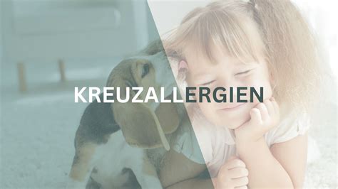 Kreuzallergie Erkl Rung M Gliche Kombinationen Und Tipps Bicom Media