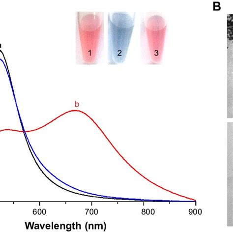 A Uvvis Absorption Spectra Of Aunps In Various Systems Curve A And