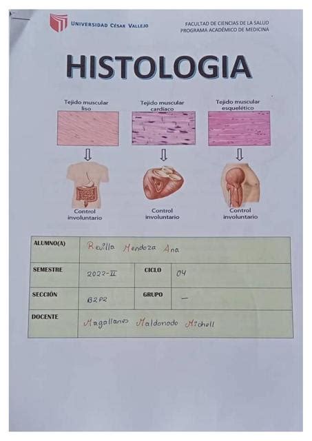 Gu A Pr Ctica Histolog A Martes Ana Revilla Mendoza Udocz