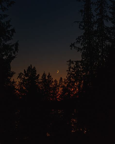 Fading sun under the moon : r/pics