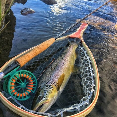 Stream Update On New Nevada Fishing Regulations by The Nevada ...