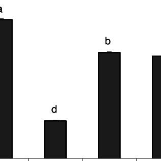 Mean SE Number Of Nymphs Of Agonoscena Pistaciae On Six Pistachio