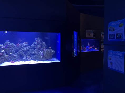 Inland Northwest Business Watch: Interactive aquarium, Blue Zoo, opens ...