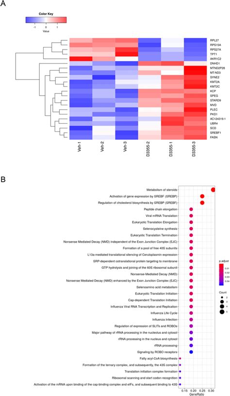 Differential Gene Expression And Molecular Pathway Analysis In Primary