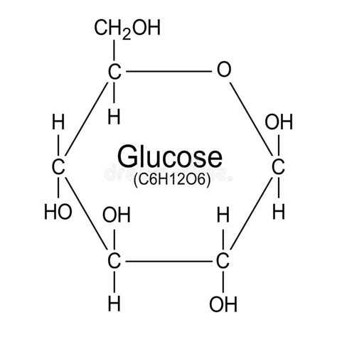 Glucose Molecule Structure