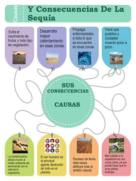 Y Consecuencias De La Sequía Y Consecuencias De La Sequía Evita El Nacimiento De Frutos Y Todo