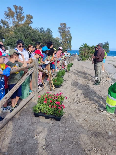 Familias Y Ni Os Participan En Roquetas De Mar En Actividades De