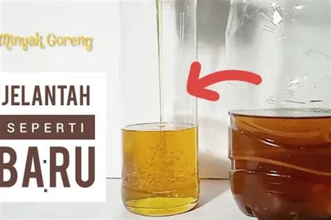 Jangan Dibuang Begini Cara Menjernihkan Minyak Jelantah Dengan Soda