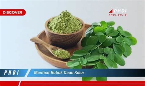 Temukan Manfaat Bubuk Daun Kelor Yang Jarang Diketahui