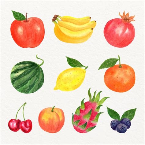 Colección de frutas en acuarela pintada a mano Vector Gratis