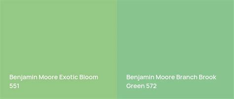 Benjamin Moore Exotic Bloom Real Home Pictures