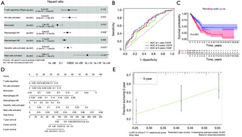 The Immune Risk Score For Luad Prognosis A Forest Plot Showing The