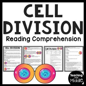 Cell Division Reading Comprehension Worksheet Mitosis And Meiosis Science