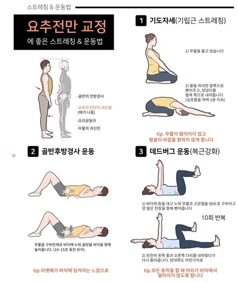 허리통증에 좋은운동이 어떤 것이 있습니까 ㅣ 궁금할 땐 아하