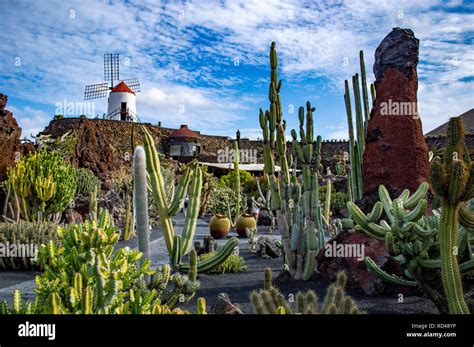 El Jard N De Cactus En Lanzarote Islas Canarias Fotograf A De Stock