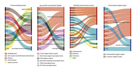 Analysis Of Protein Function Classification And Transcriptional