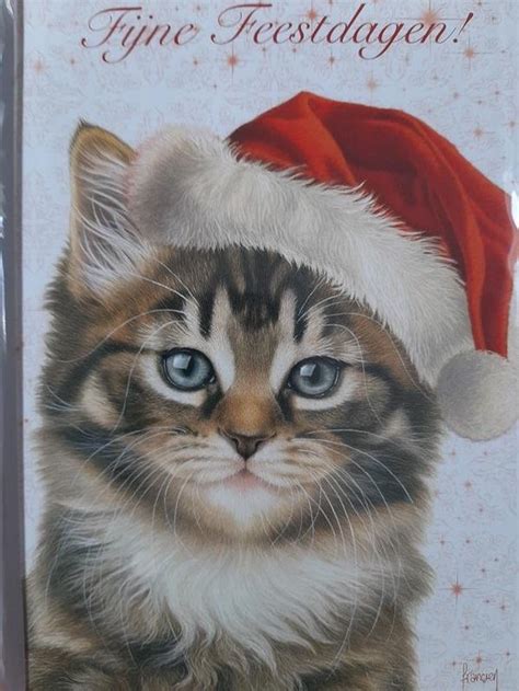 Kerstkaarten Francien Katten Met Kerstmuts Met Enveloppe X Cm