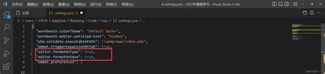 Vscode Clude下面为什么没有settingsjson的解决方法。vscode没有settingsjson Csdn博客