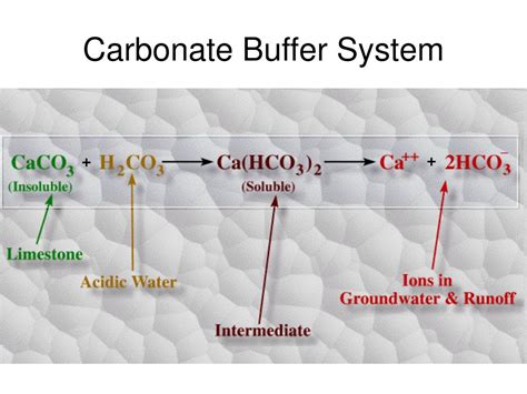 Ppt Aquatic Ecosystem Chemistry Powerpoint Presentation Free