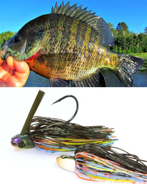 Bluegill Jig