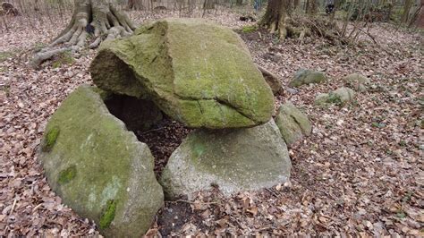 Das Gro Steingrab Im Papenbusch In Albersdorf Schleswig Holstein