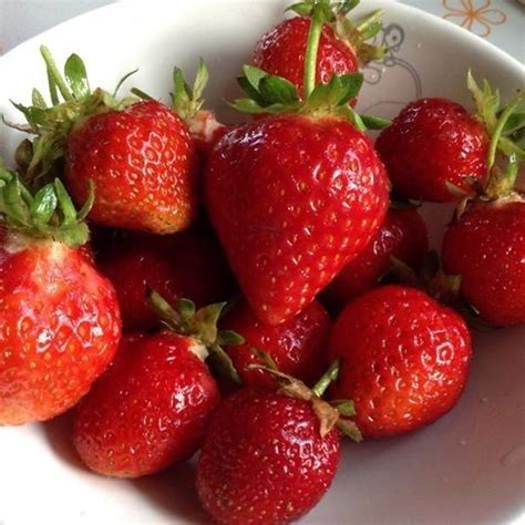 Pin de en Guardado rápido en 2024 Fresas Comida Frutillita