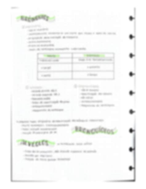 SOLUTION Sistema respiratório Studypool