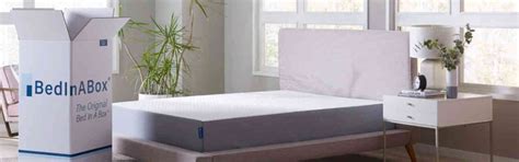 Bed in a Box: Independent Customer Reviews (2024)