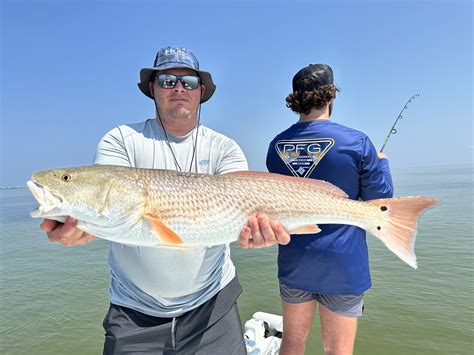 Featured Catches Of The Week PERFECT CAST CHARTERS Fishing