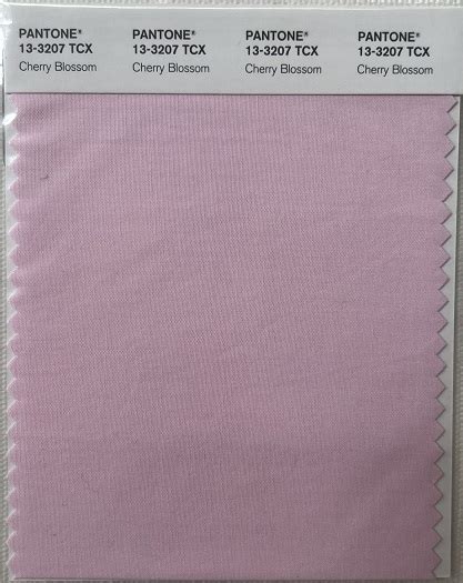 Pantone TCX Cotton Swatch Card 13 3802 TCX Orchid Tint