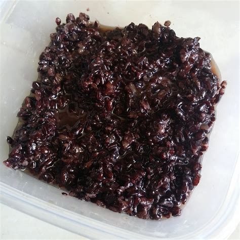 Tapai Sweet Fermented Black Rice Recipe Cookooree