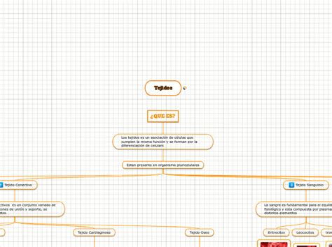 Tejidos Mind Map