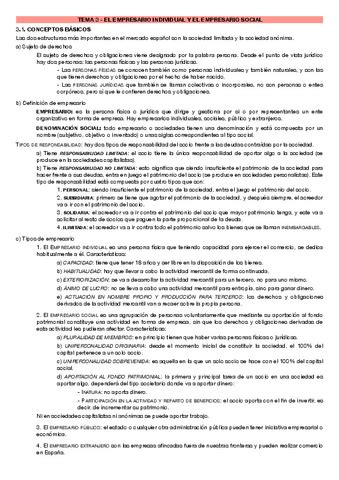 Tema 3 El Empresario Individual Y El Empresario Social Pdf