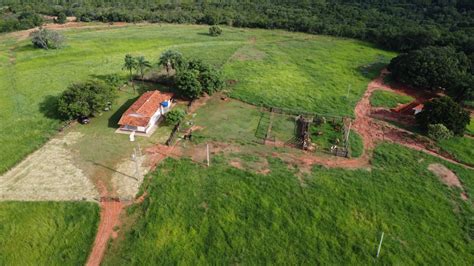 Excelente Fazenda Venda Em Campina Verde Mg Toda Preparada Para