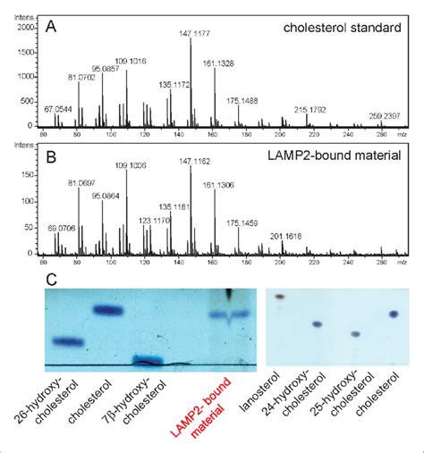 Mass Spectrometry Identification Of Small Molecules Released From Lamp2 Download Scientific