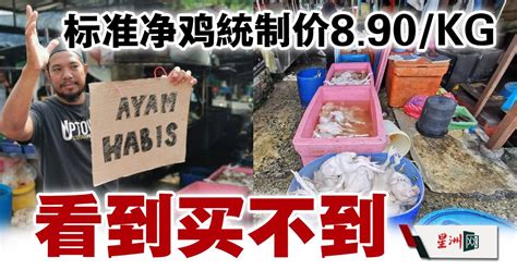 Sin Chew Daily 星洲日報 على تويتر 巴刹鸡肉贩只能把整只净鸡售卖给常客，如熟食小贩和餐馆业者，后者也同意以高过统制