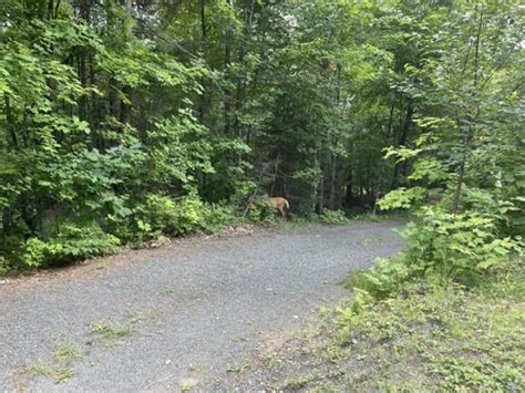 Best Views Trails In Sainte Marguerite Du Lac Masson AllTrails