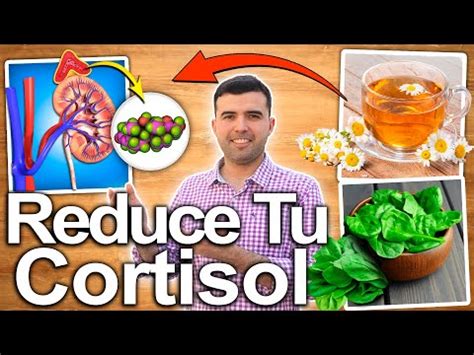 Descubre Las Vitaminas Para Bajar El Cortisol Mejora Tu Salud Mental Y