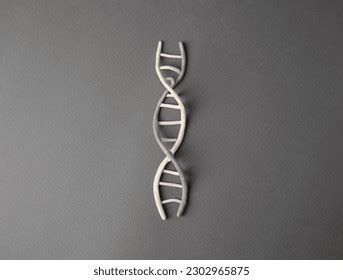 Plasticine Chromosome Images Stock Photos D Objects Vectors