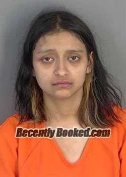 Recent Booking Mugshot For Aaliyah Alvarado In Collier County Florida