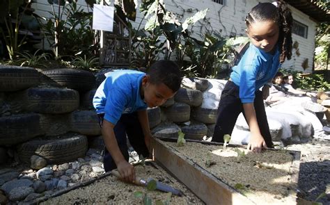 En Colombia Crean La Primera Escuela Sustentable Telediario México