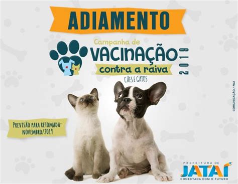 Sa De Campanha De Vacina O Antirr Bica De C Es E Gatos Foi Adiada