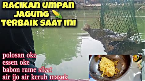 Terbaik Abad Iniikan Babon Ikan Rame Dijamin Makan Pake Umpan Jagung