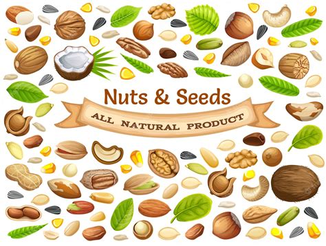 Free Vector Poster Of Nuts