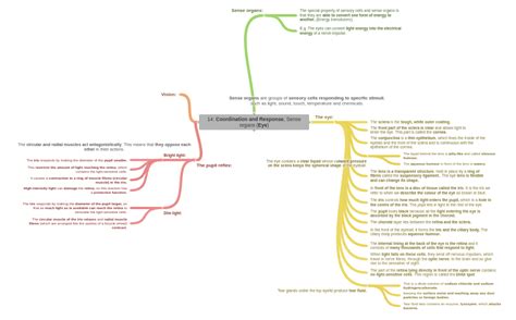 14 Coordination And Response Sense Organs Eye Sense Organs Are