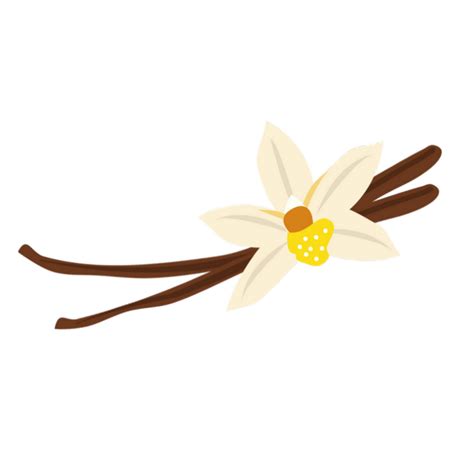 Vanilla Flower Png Clipart Png All