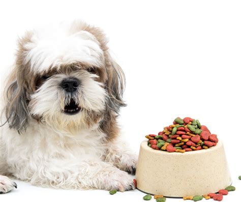 4 Thoughts On How Much Food Should A Shih Tzu Eat