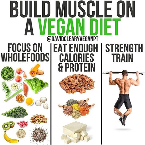 Vegan Fitness And Nutrition Info On Instagram “💪build Muscle On A Vegan