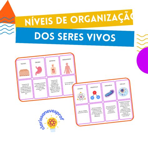 Exercicios Sobre Niveis De Organização Dos Seres Vivos - Questões Sobre Niveis De Organização Dos Seres Vivos — KERUSSO