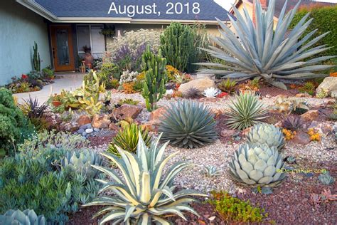 Succulent Landscape Design Ideas How Tos And Videos Debra Lee Baldwin Succulent Expert